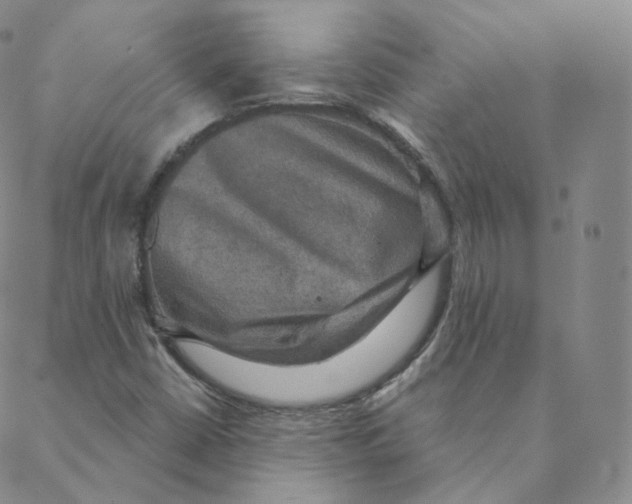 X0000088391402200706191321