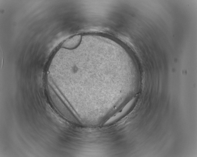 X0000088391404200706191321