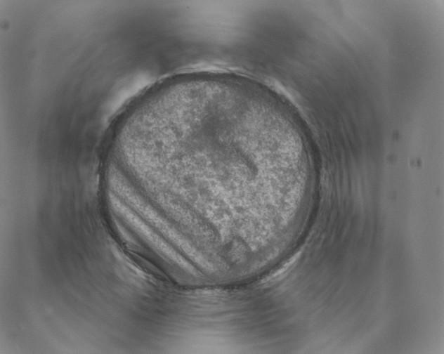 X0000088391406200706191321