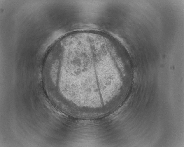 X0000088391407200706191321