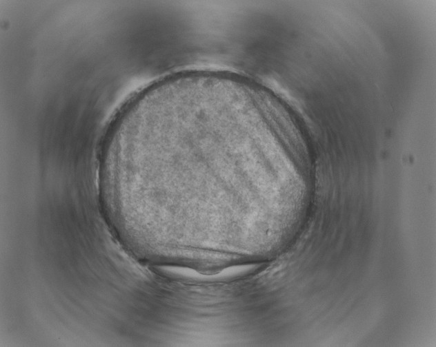 X0000088391408200706191321