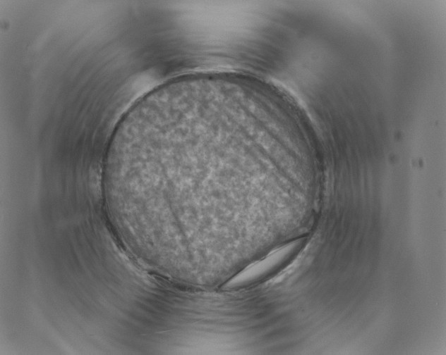 X0000088391409200706191321