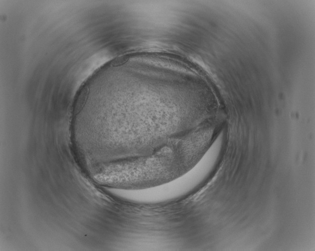 X0000088391410200706191321