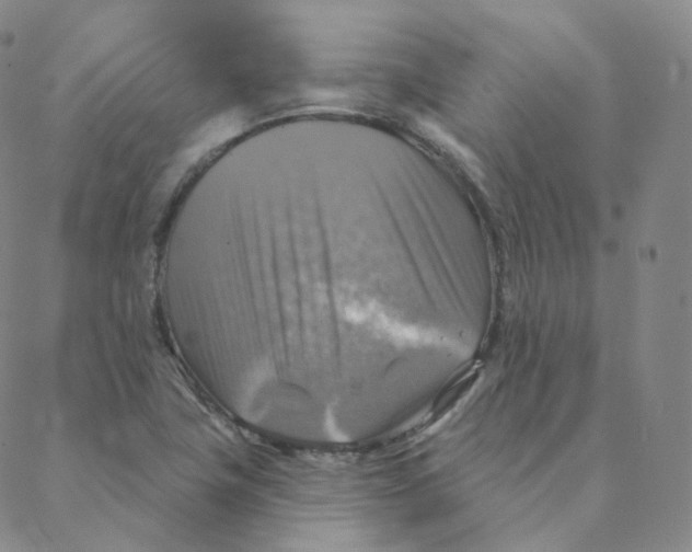 X0000088391411200706191321