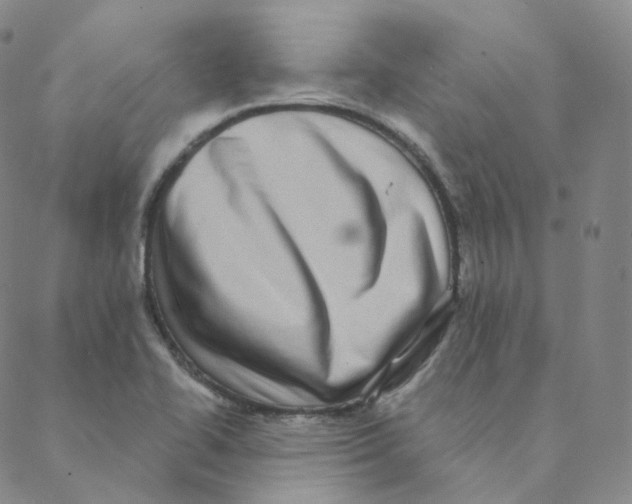 X0000088391414200706191321