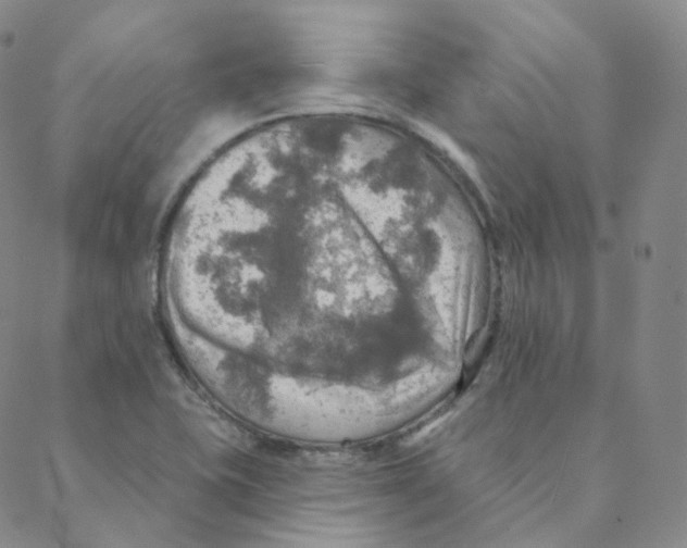 X0000088391415200706191321