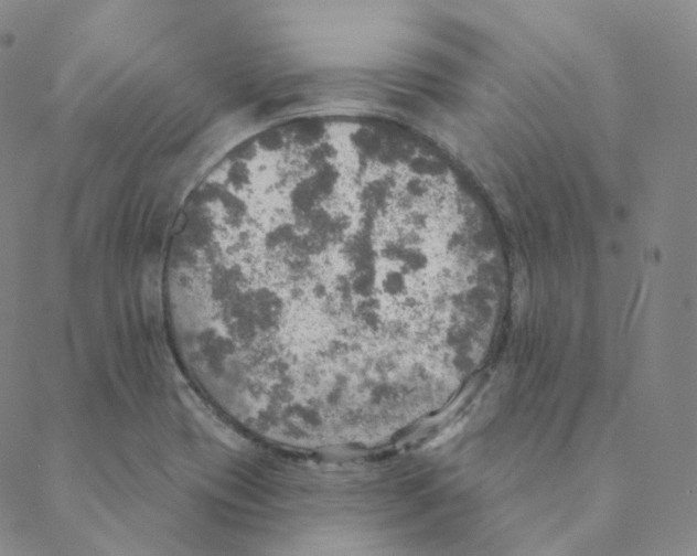 X0000088391417200706191321