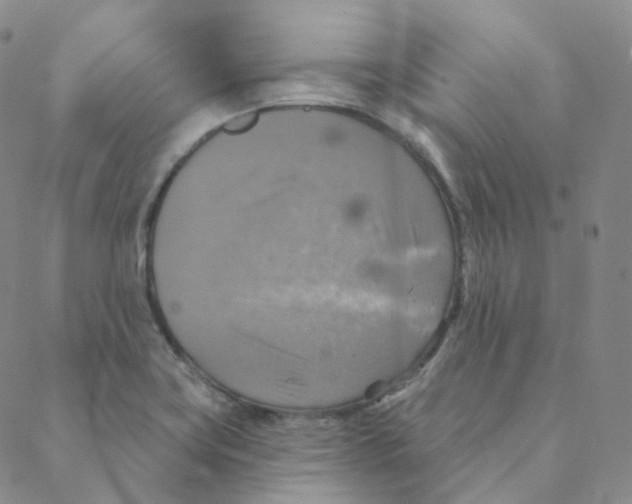 X0000088391419200706191321