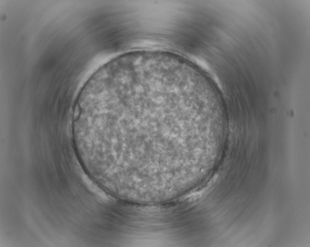 X0000088391421200706191321