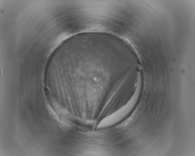 X0000088391422200706191321