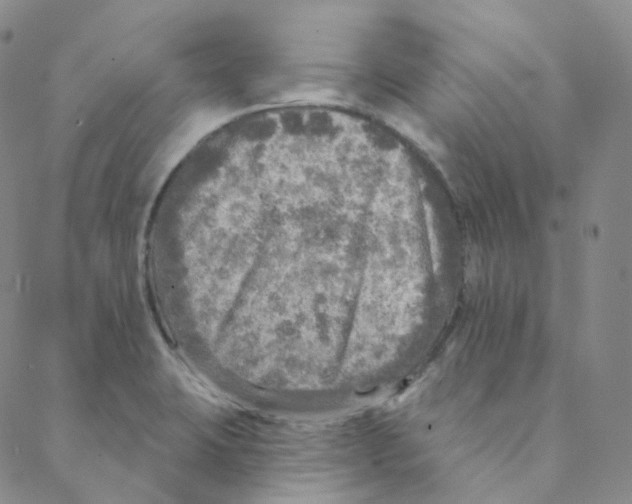 X0000088391423200706191321