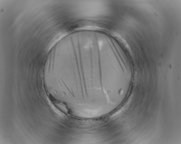 X0000088391425200706191321