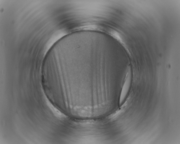 X0000088391426200706191321