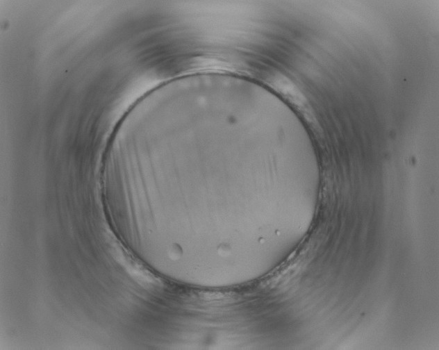 X0000088391427200706191321