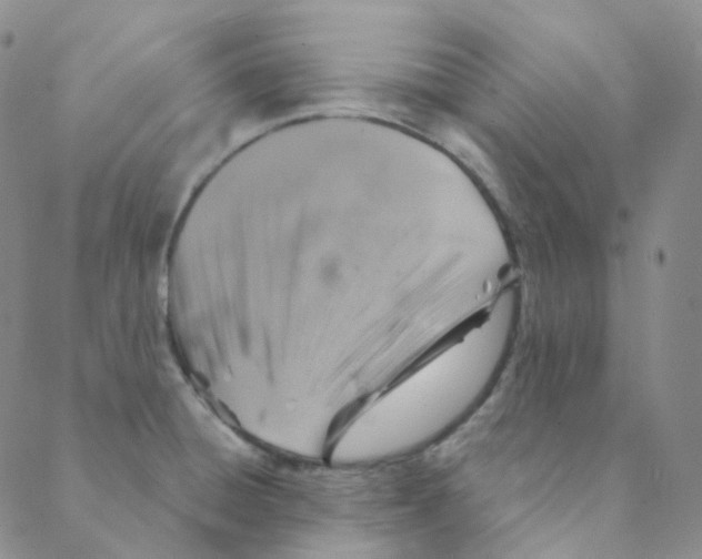 X0000088391428200706191321