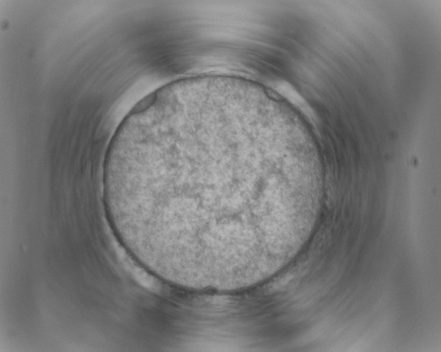 X0000088391431200706191322