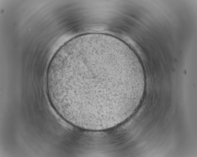 X0000088391432200706191322