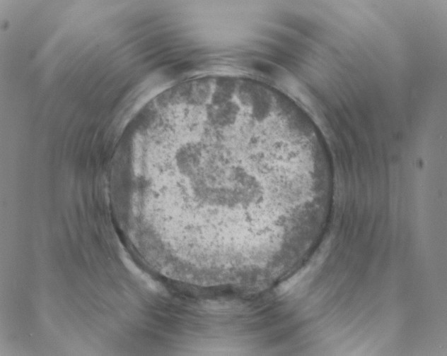 X0000088391433200706191322