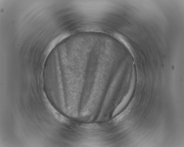 X0000088391434200706191322