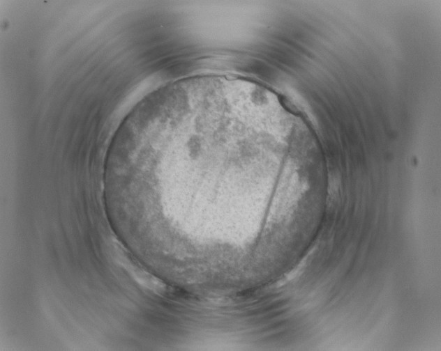 X0000088391435200706191322