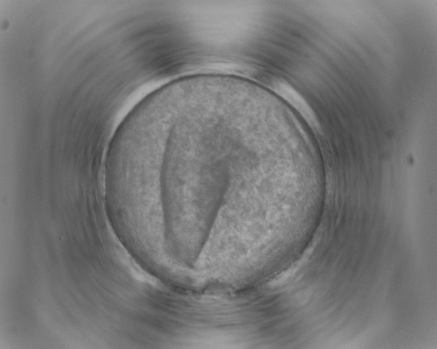 X0000088391436200706191322