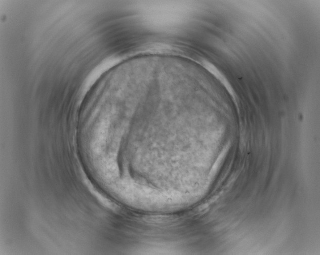 X0000088391437200706191322