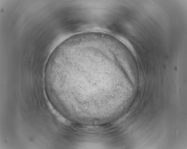 X0000088391439200706191322