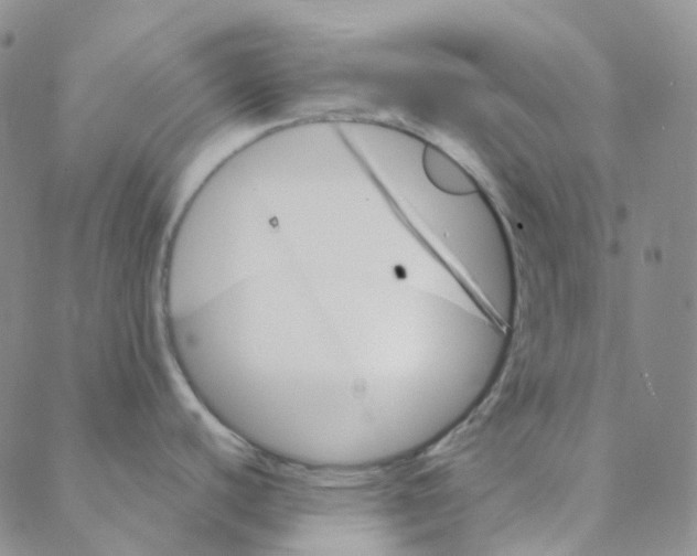 X0000088391440200706191322