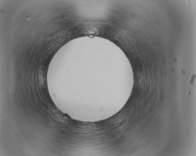 X0000088391442200706191321