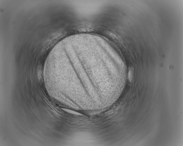 X0000088391444200706191321