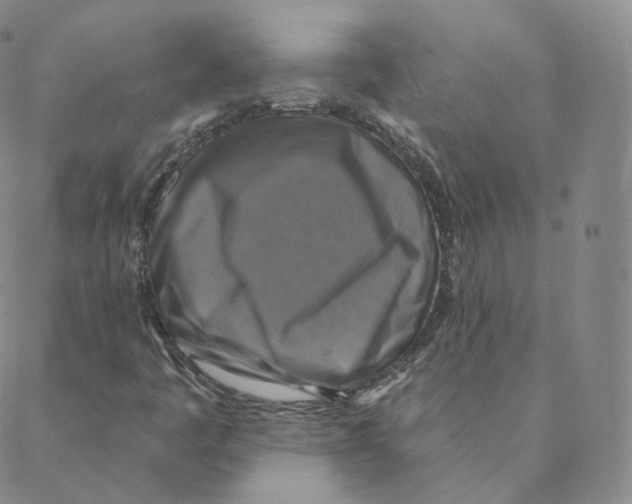 X0000088391445200706191321