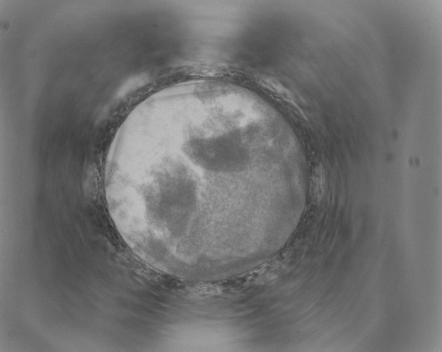 X0000088391446200706191321