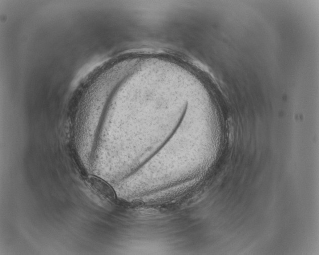 X0000088391448200706191321