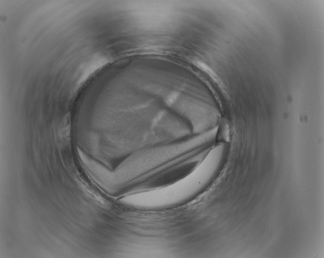 X0000088391450200706191321