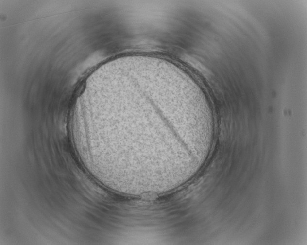 X0000088391451200706191321