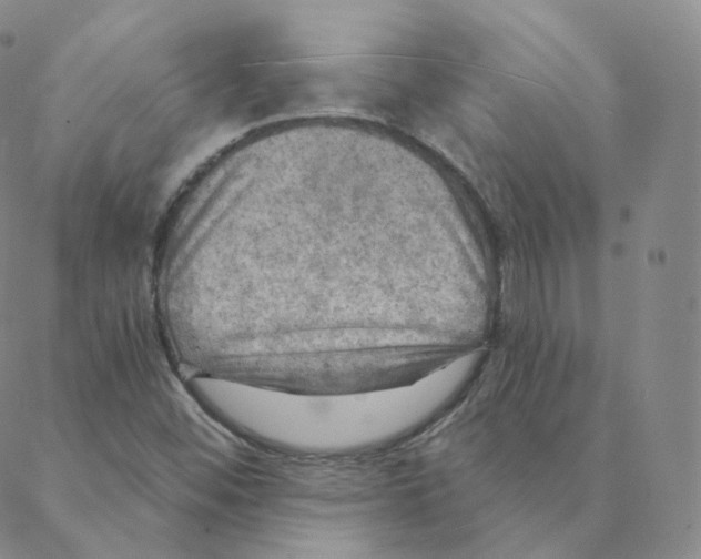 X0000088391452200706191321