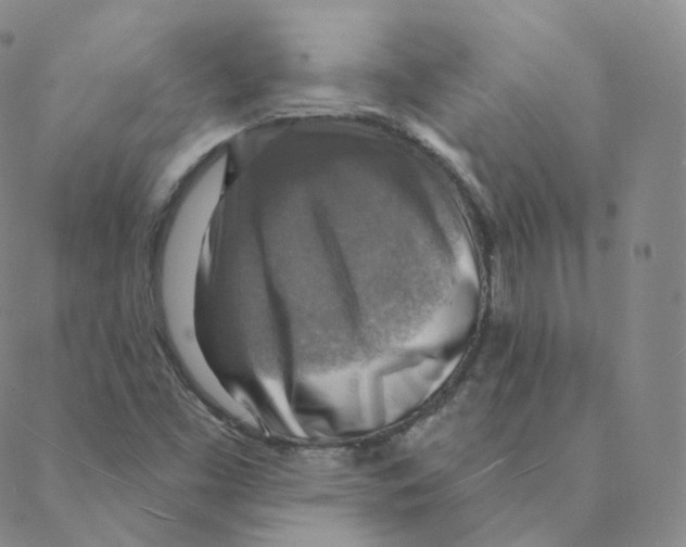 X0000088391453200706191321