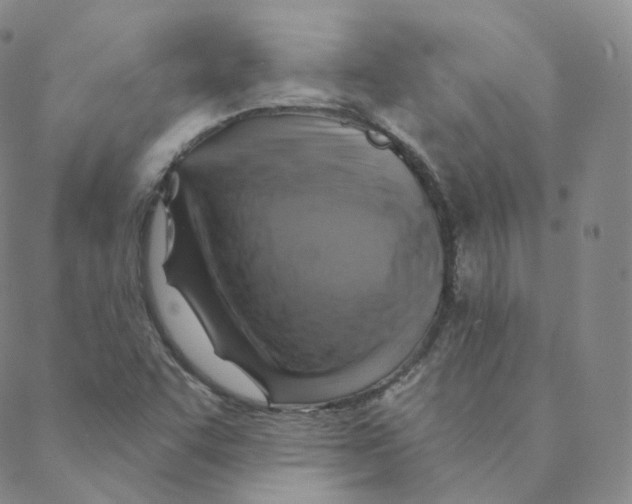 X0000088391455200706191321