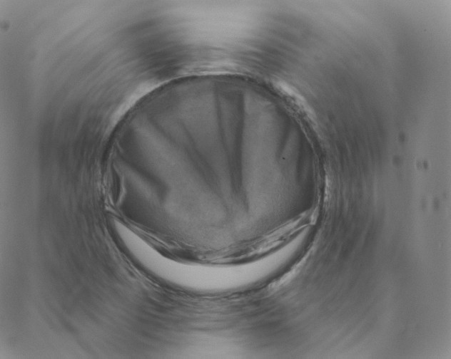 X0000088391457200706191321