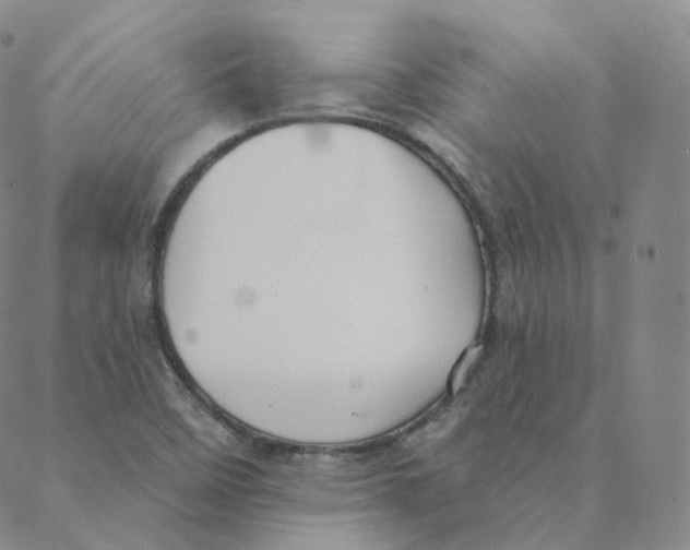 X0000088391458200706191321