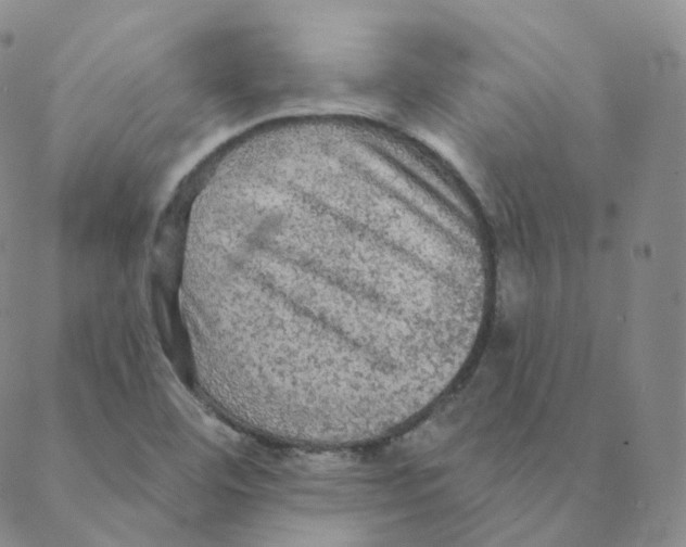 X0000088391460200706191321