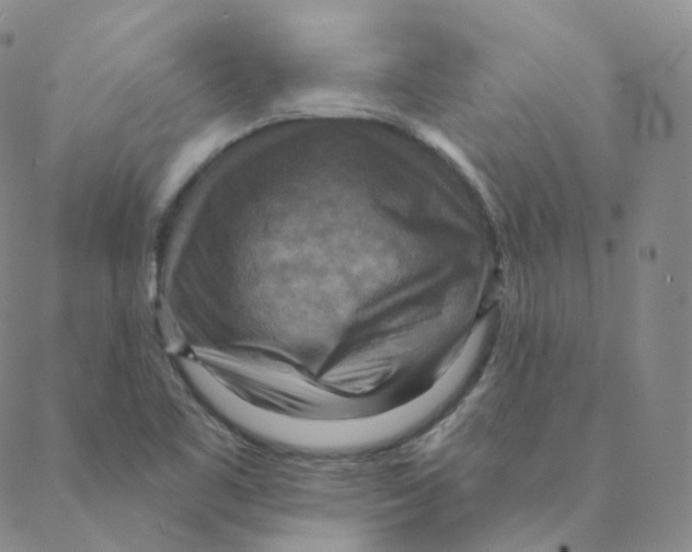 X0000088391461200706191321