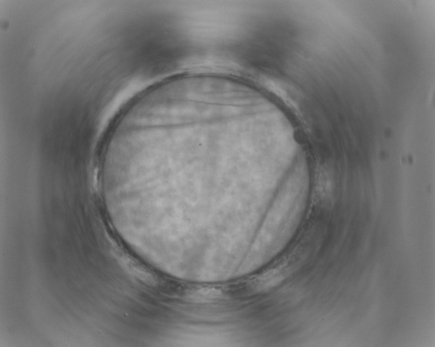 X0000088391462200706191321