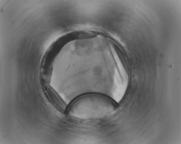 X0000088391463200706191321