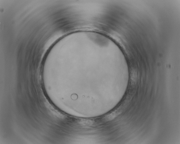 X0000088391466200706191320