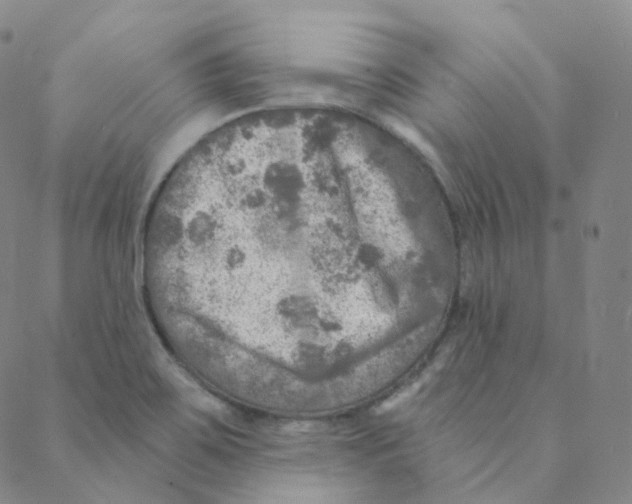 X0000088391467200706191320