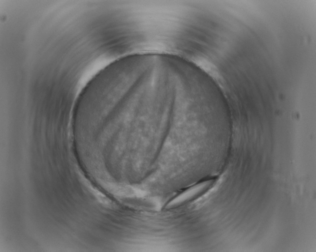 X0000088391469200706191320