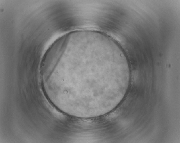 X0000088391470200706191320