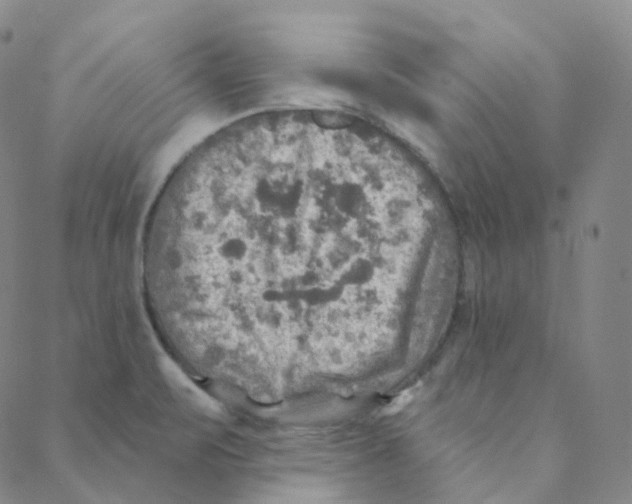 X0000088391471200706191320