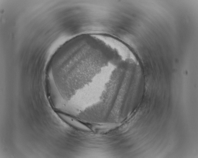 X0000088391472200706191320